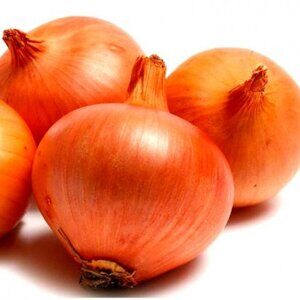 onion-espaniol